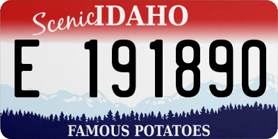 ID license plate E191890