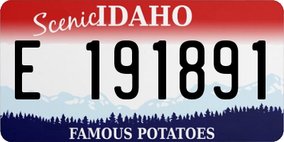 ID license plate E191891