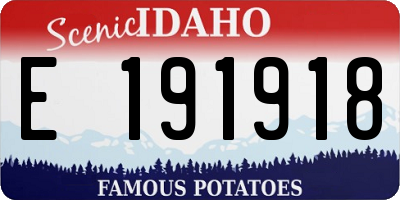 ID license plate E191918