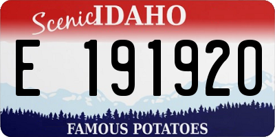 ID license plate E191920