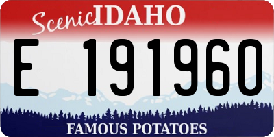 ID license plate E191960
