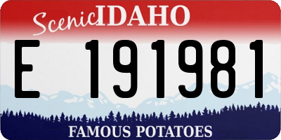 ID license plate E191981