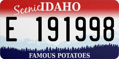 ID license plate E191998
