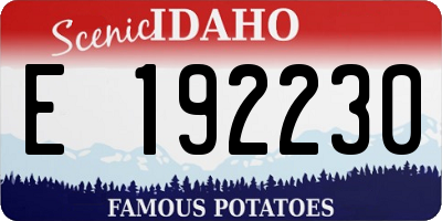 ID license plate E192230
