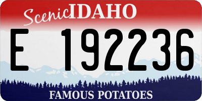 ID license plate E192236