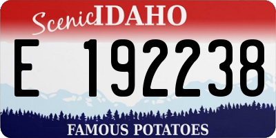 ID license plate E192238