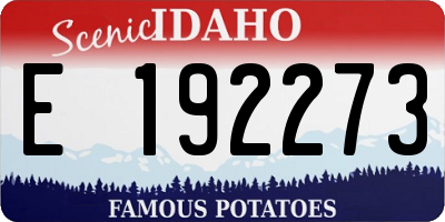 ID license plate E192273