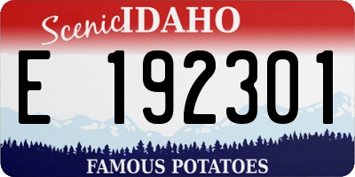 ID license plate E192301