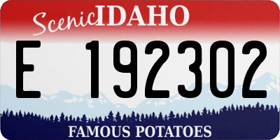 ID license plate E192302