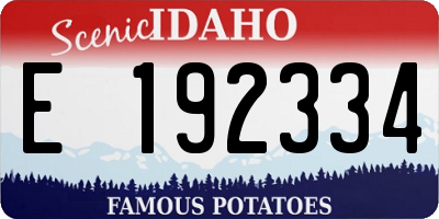 ID license plate E192334