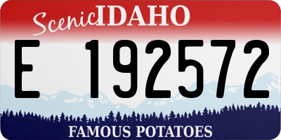 ID license plate E192572