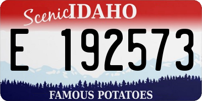 ID license plate E192573