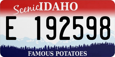 ID license plate E192598