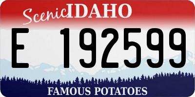 ID license plate E192599