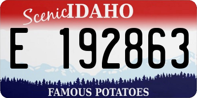 ID license plate E192863