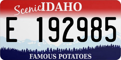 ID license plate E192985