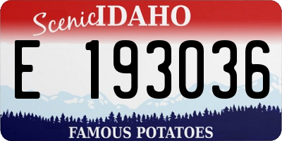 ID license plate E193036