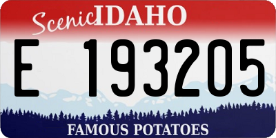 ID license plate E193205