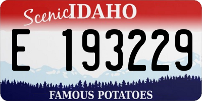 ID license plate E193229
