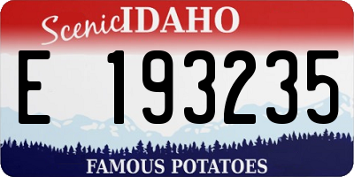 ID license plate E193235