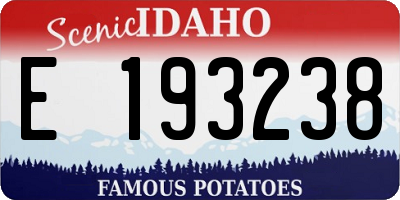ID license plate E193238