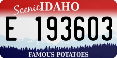 ID license plate E193603