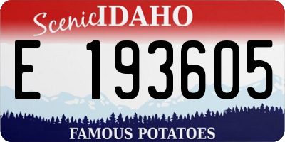 ID license plate E193605