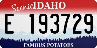 ID license plate E193729