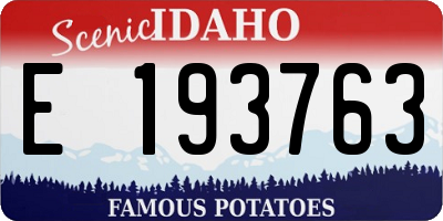ID license plate E193763