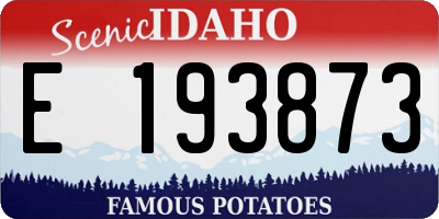 ID license plate E193873