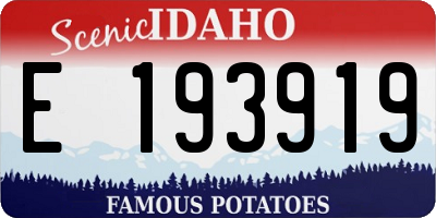 ID license plate E193919