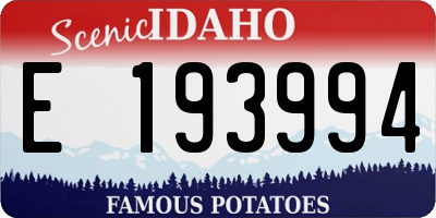 ID license plate E193994