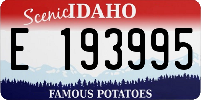 ID license plate E193995