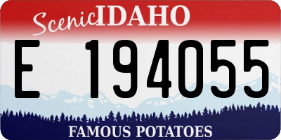 ID license plate E194055