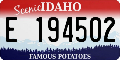 ID license plate E194502
