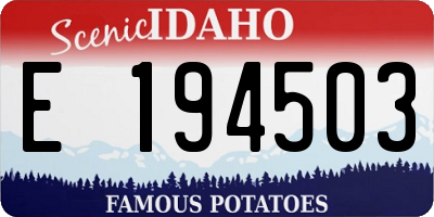 ID license plate E194503