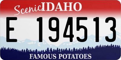 ID license plate E194513