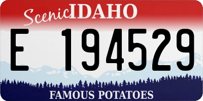 ID license plate E194529