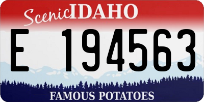 ID license plate E194563