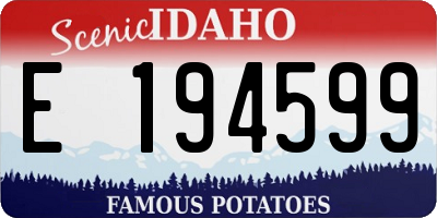 ID license plate E194599
