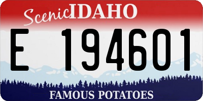 ID license plate E194601