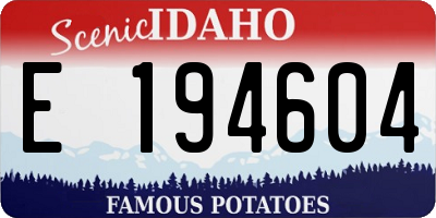 ID license plate E194604