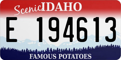 ID license plate E194613