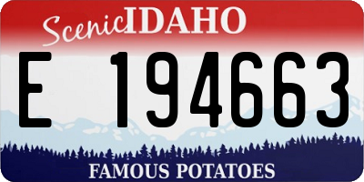 ID license plate E194663