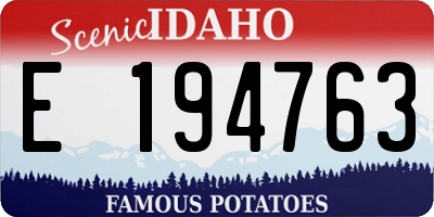 ID license plate E194763