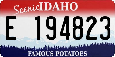 ID license plate E194823