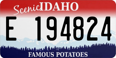 ID license plate E194824