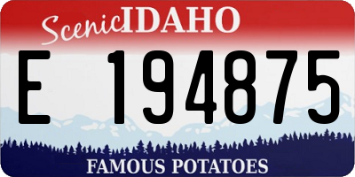 ID license plate E194875