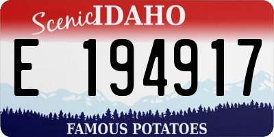 ID license plate E194917