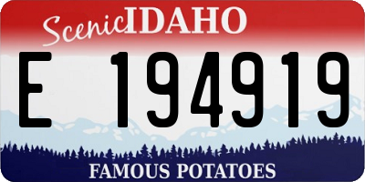 ID license plate E194919